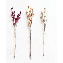 Load image into Gallery viewer, Dried Thistle Bunch | Mustard
