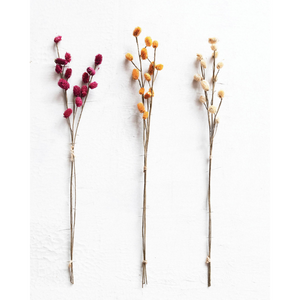 Dried Thistle Bunch | Magenta