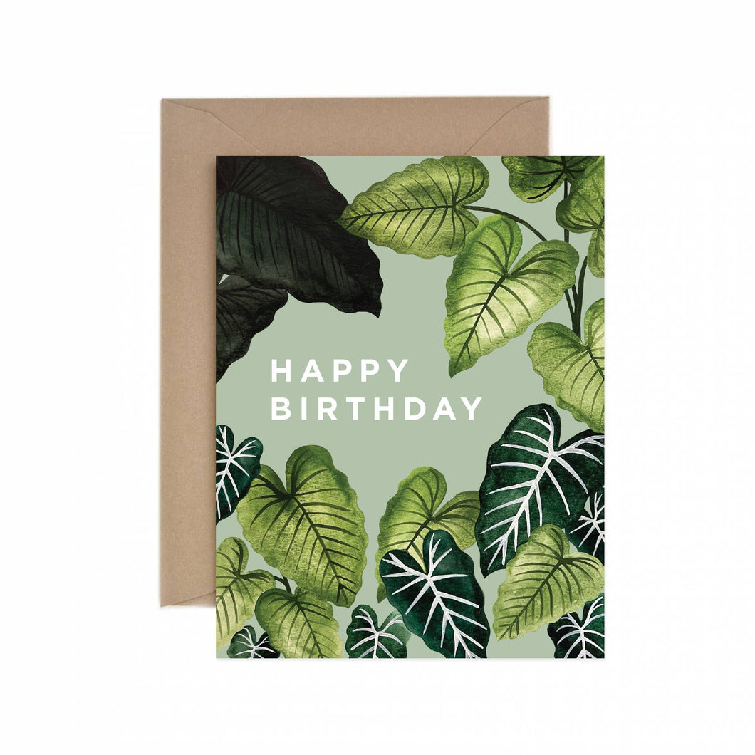 Alocasia Happy Birthday Greeting Card