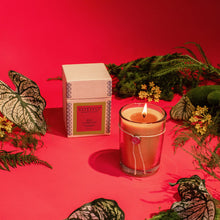 Load image into Gallery viewer, Aromatic Candle |  Red Currant
