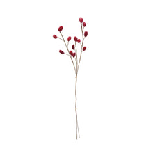 Load image into Gallery viewer, Dried Thistle Bunch | Magenta
