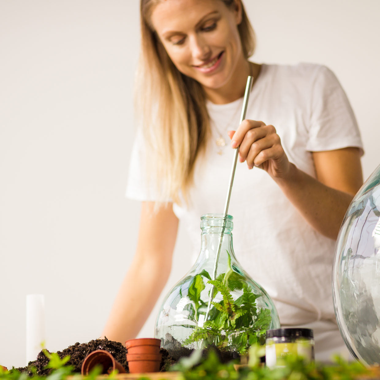 activated charcoal for plant pots Activated Charcoal for Terrariums – Botanical Dwellings