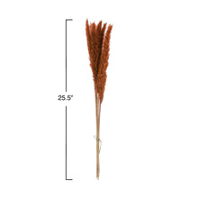 Load image into Gallery viewer, Dried Pampas Grass l Saffron
