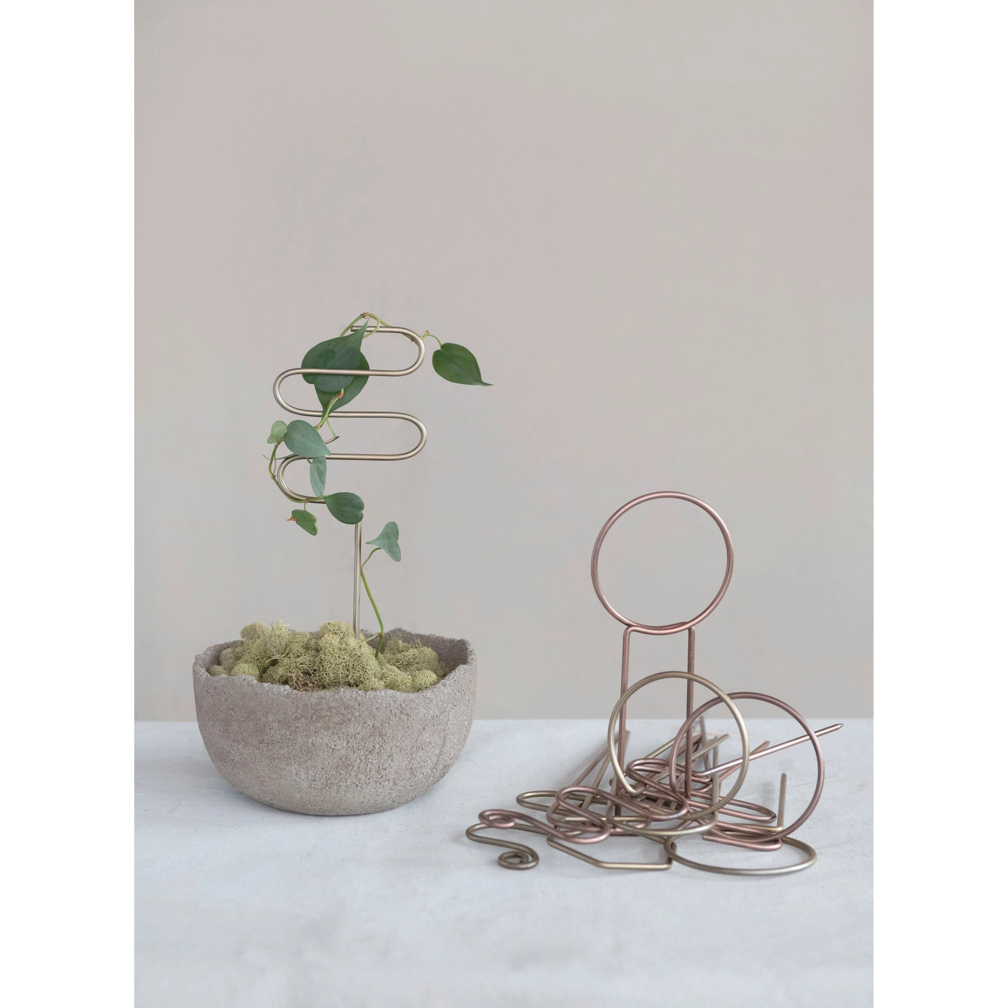 mini plant trellis for pots Mini Metal Trellis – Botanical Dwellings