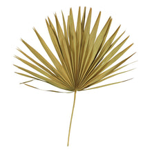 Load image into Gallery viewer, Dried Palm Leaf l Set of 4
