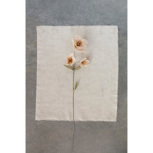 Load image into Gallery viewer, Paper Flower l Blush
