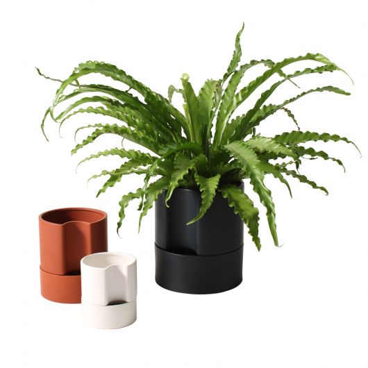 Jett Pot | White – Botanical Dwellings