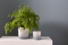 Load image into Gallery viewer, Keppel Pot l Blue
