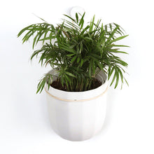 Load image into Gallery viewer, Loop Hanging Planter | White

