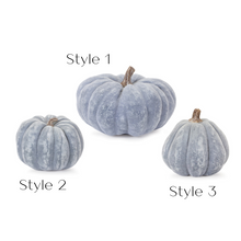 Load image into Gallery viewer, Misty Blue Pumpkin
