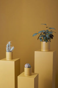 Romey Pot | Ochre