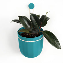 Load image into Gallery viewer, Loop Hanging Planter | Teal
